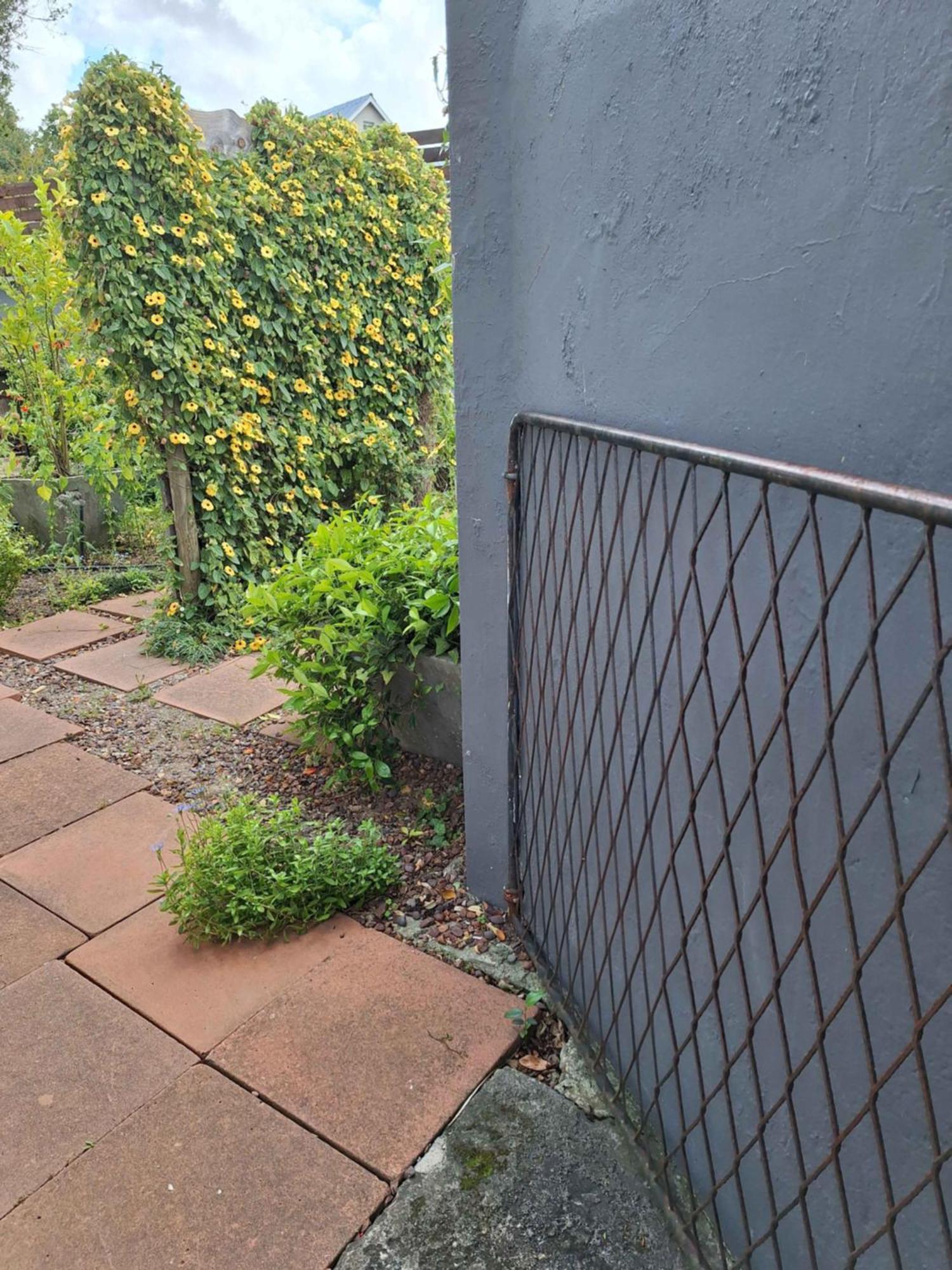 Apartamento House Forget Me Not Bredasdorp Exterior foto
